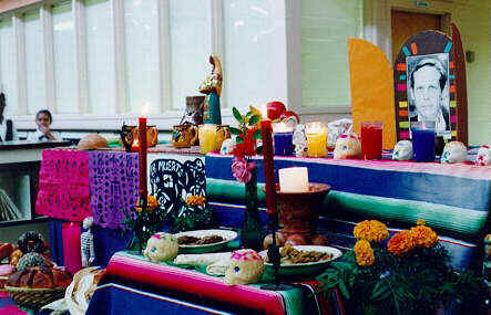 Toni-Photo for History page