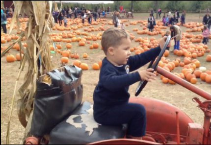 Activity-3-year-1-(1)