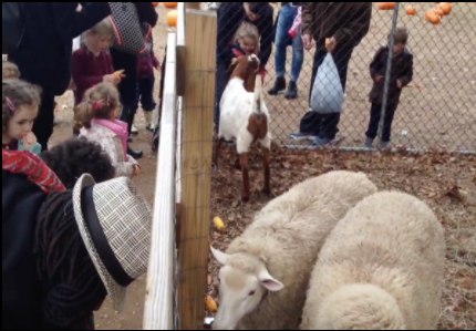 Activity-3-year-1-(2)